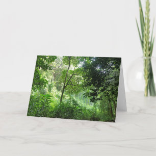 Carte Pluie dans la forêt tropicale