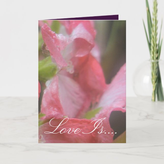 Carte Pluie rose (Devant)