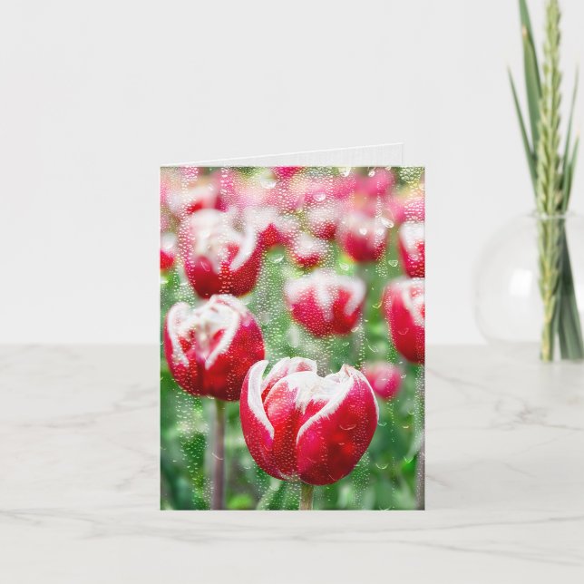 Carte Pluie sur le verre et les tulipes rouges (Devant)