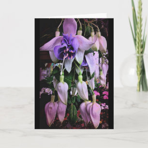 Carte Pluie violette