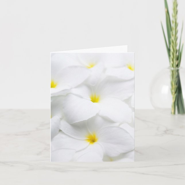 Carte Plumeria blanche Frangipani Fleur tropicale hawaïe (Devant)