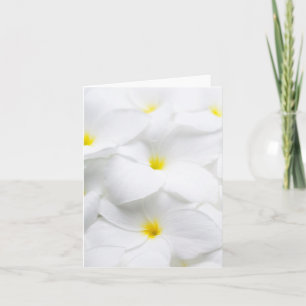 Carte Plumeria blanche Frangipani Fleur tropicale hawaïe
