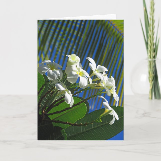 Carte Plumeria et Palm (Devant)