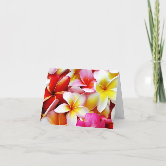 Carte Plumeria Frangipani Hawaii Fleur Hawaii Fleurs haw (Devant)