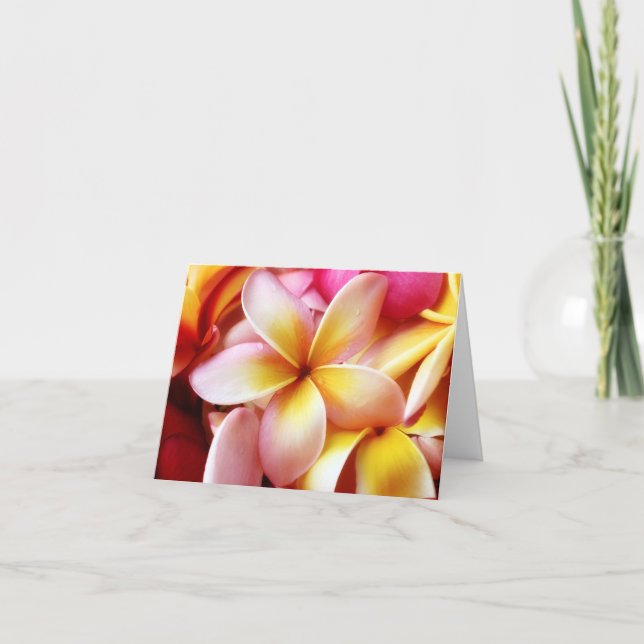 Carte Plumeria Frangipani Hawaii Flower Customized Blank (Devant)