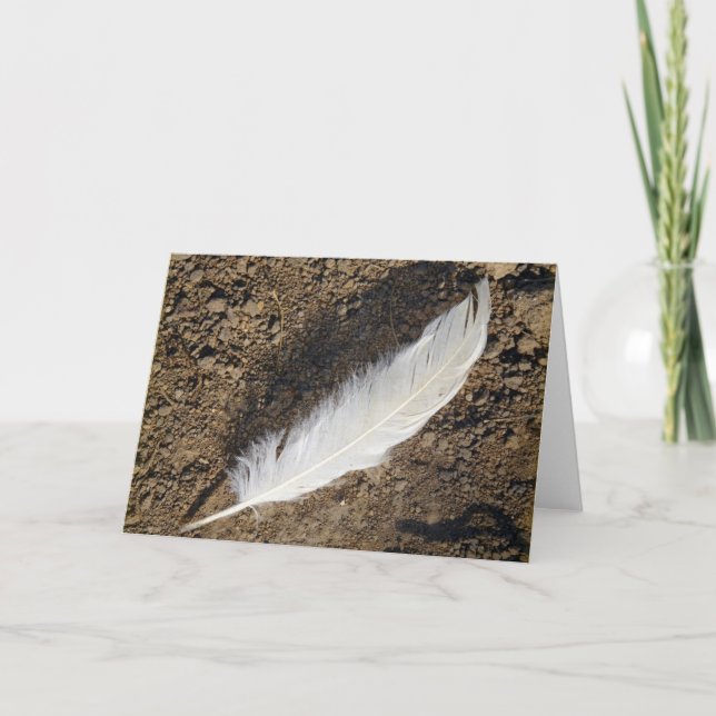 Carte Plumes (Devant)