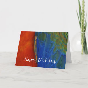 Carte Plumes de perroquet Macaw colorées personnalisées 