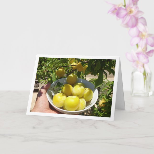 Carte Plums jaunes au Bowl (Orchidée)