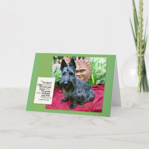 Carte plus ancienne en croissance