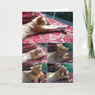 Carte Plus de médicaments s'il vous plaît