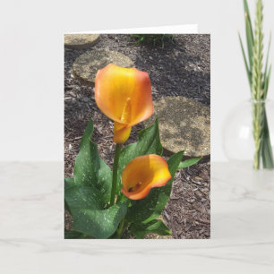 Carte Plutôt jaune floral blanc