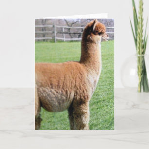 CARTE PLUTÔT PARTAGER MON ANNIVERSAIRE AVEC VOUS QUE N'I