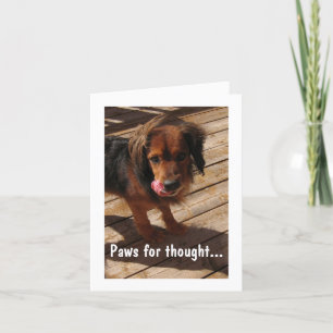 Carte Poches pour la pensée : Chien 2