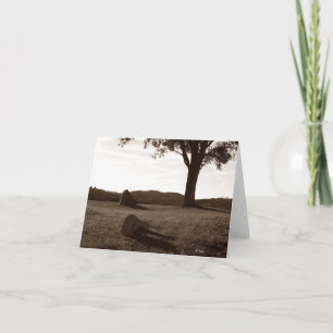 Carte Poing de guitare acoustique