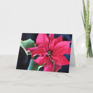 Carte Poinsettia