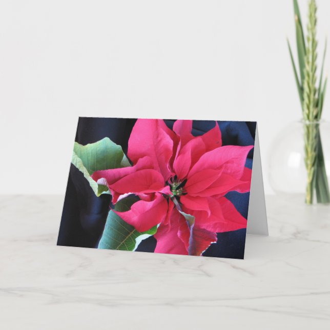 Carte Poinsettia (Devant)