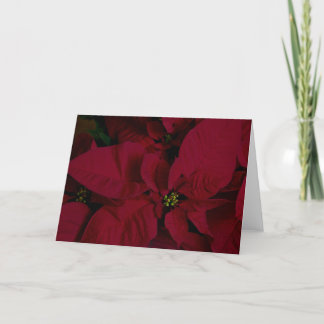 Carte Poinsettia #7