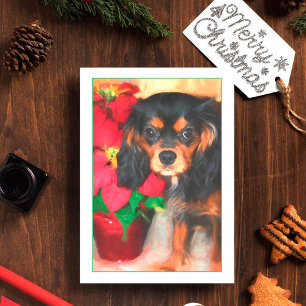 Carte Poinsettia Cavalier King Charles Chien