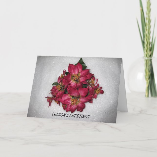 CARTE POINSETTIA CHRISTMAS (Devant)