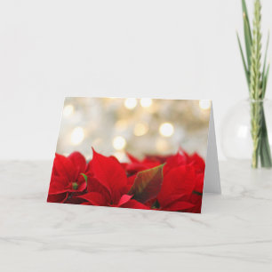 Carte Poinsettia de Noël