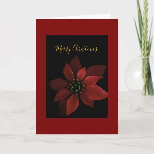 Carte Poinsettia rouge Joyeux Noël  (Devant)