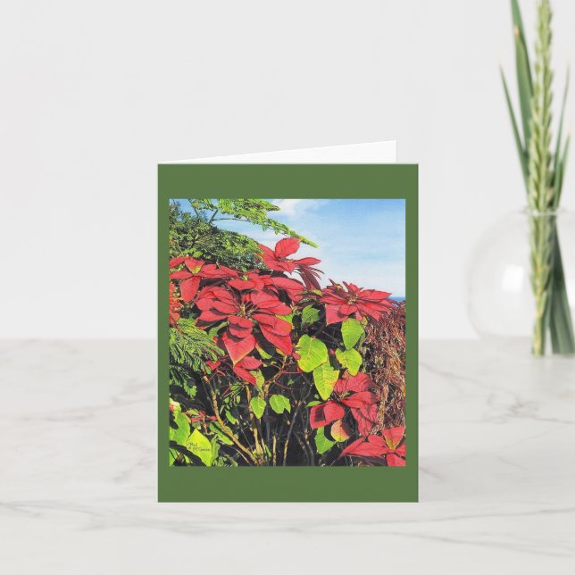 Carte "Poinsettias" de Paul McGehee (Devant)