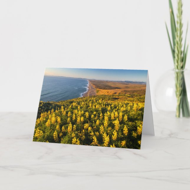 Carte Point Reyes National Seashore California (Devant)