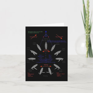 Carte Points De Voile Ancre Voilier Voilier Voilier Sai