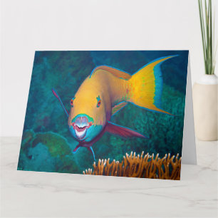 Carte Poisson-perroquet - Maquillage frappant! Photo col