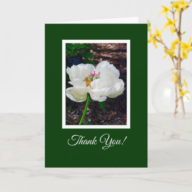 Carte Poitrine Florale/Blanche/ Merci (Fleur jaune)