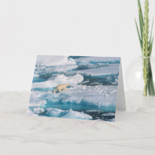 Carte Polar Bear walking on the Sea