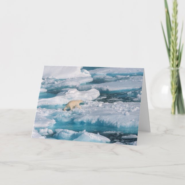 Carte Polar Bear walking on the Sea (Devant)