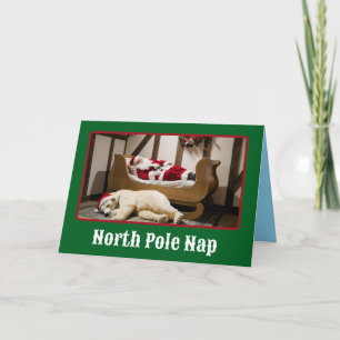 Carte Pôle Nord Nap