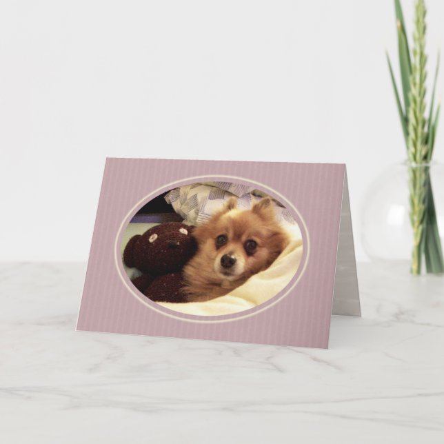 Carte Pomeranian Get Well (Devant)