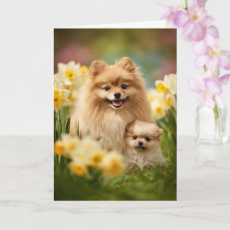 Carte Pomeranian Mom Mother’s Day Love