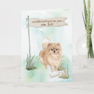 Carte Pommeranian Félicitations pour le nouveau chien