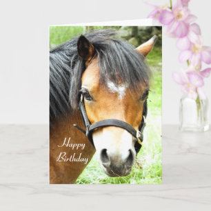 CARTE PONEY BRUN MIGNON  