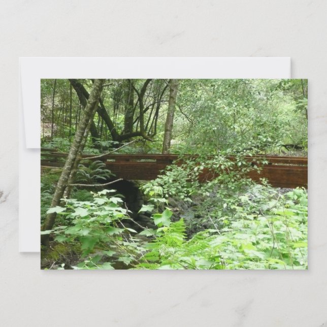 Carte Pont de Muir Woods I (Devant)