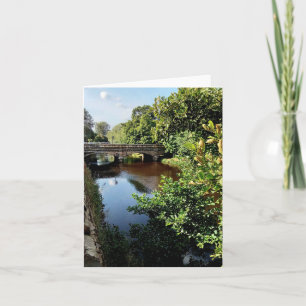 Carte Pont, en direction de Hillsborough.