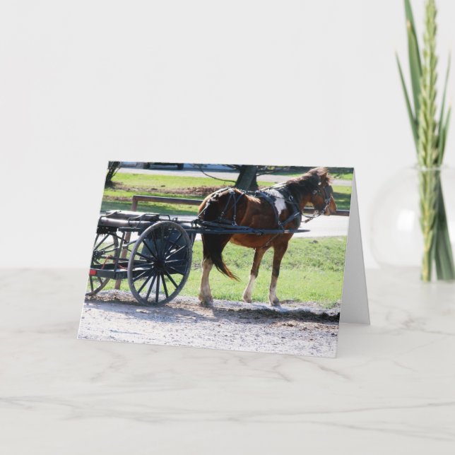Carte Pony Cart (Devant)