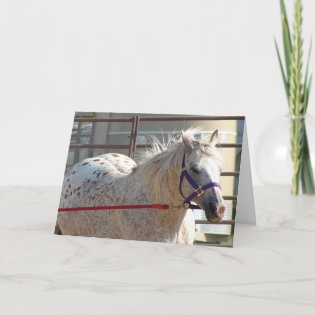 Carte Pony tacheté (Devant)