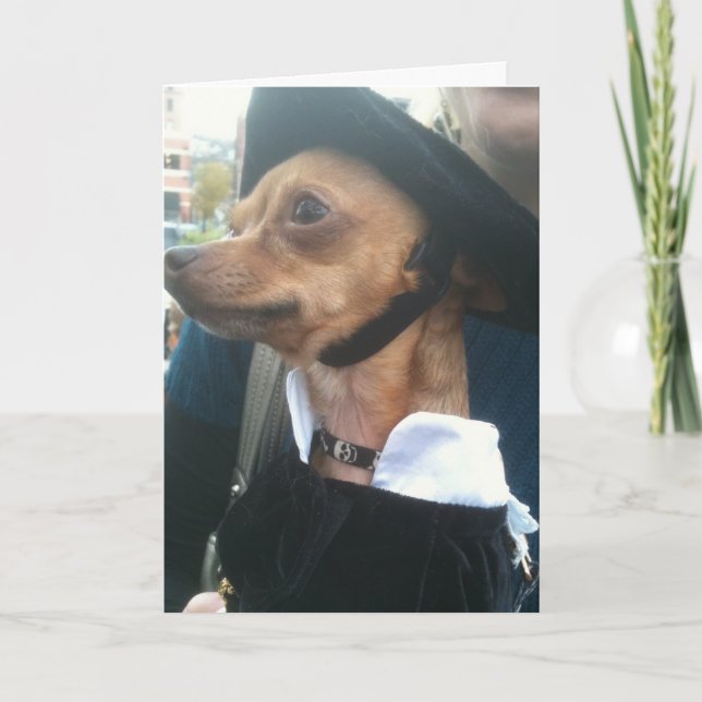 CARTE POOCH BEGS, ANNIVERSAIRE PARDON (Devant)