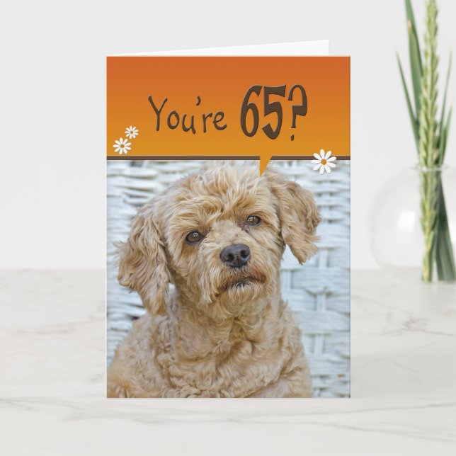 Carte Poodle Brown pour 65e anniversaire (Devant)