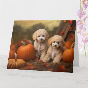 Carte Poodle Chiot Automne Citrouille délice
