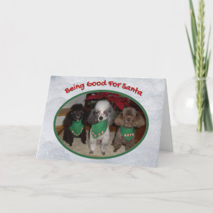 Carte Poodles de Noël être bon pour Père Noël Holiday