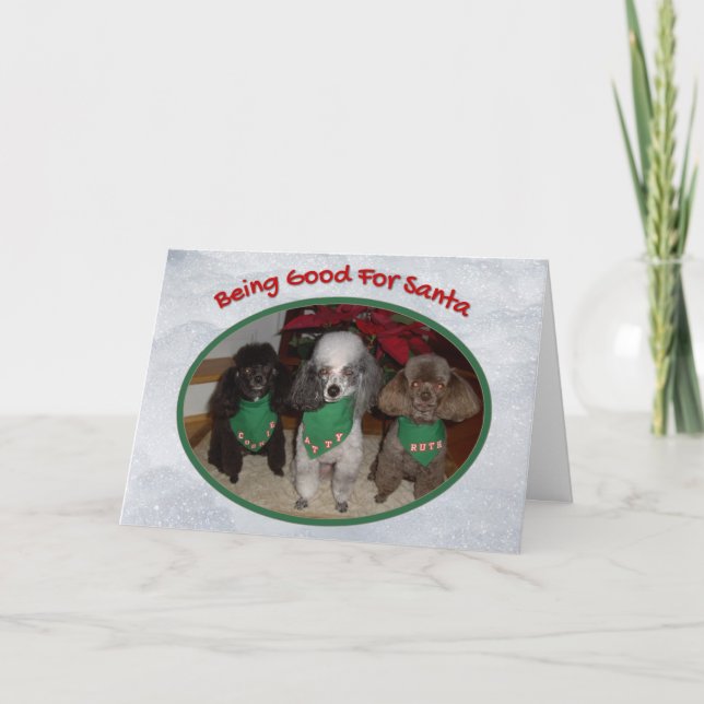 Carte Poodles de Noël être bon pour Père Noël Holiday (Devant)
