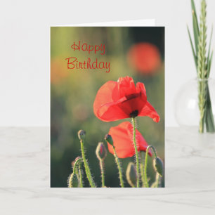 Carte Poppy 1