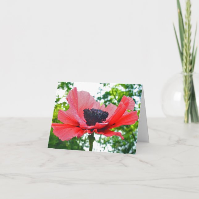 Carte Poppy blank notecard (Devant)