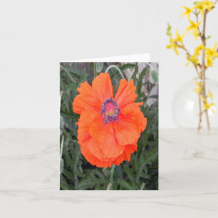 Carte Poppy chinois...