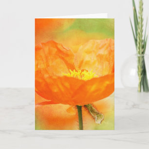 Carte Poppy orange